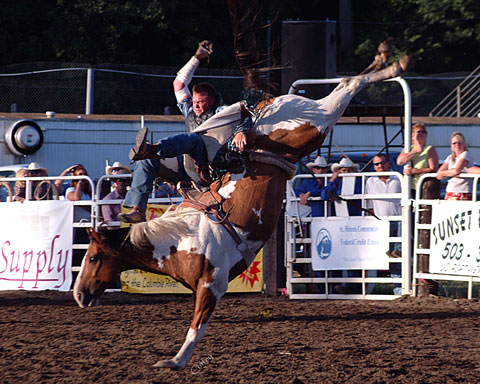 buckinghorse0127.jpg