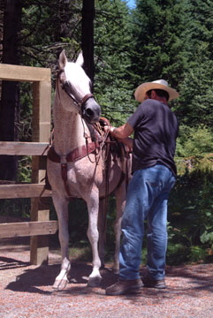 deweesestub-088.jpg