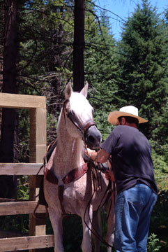 deweesestub-089.jpg