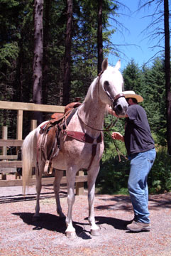 deweesestub-091.jpg