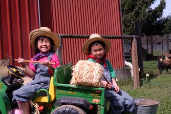 dscf5348.jpg