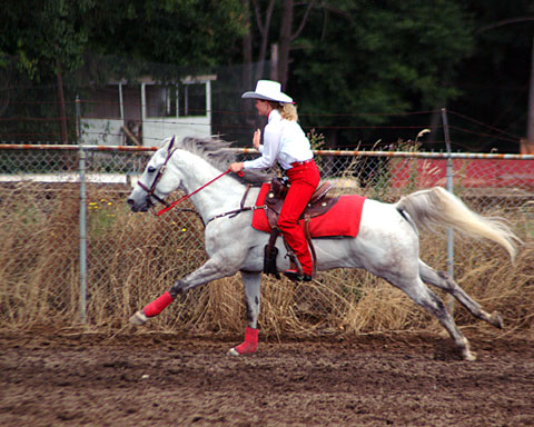 lacey0218.jpg