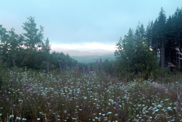sunrisestub-006.jpg